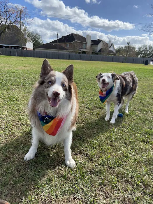 Independence Dog Park 9