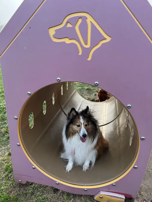 Independence Dog Park 6