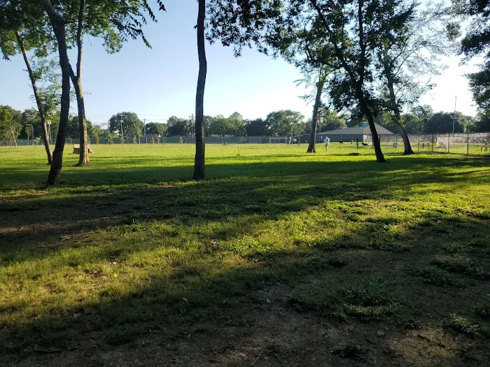 Dog Park 1