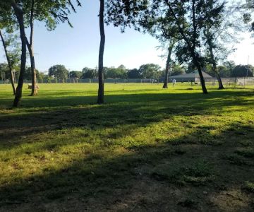 Dog Park