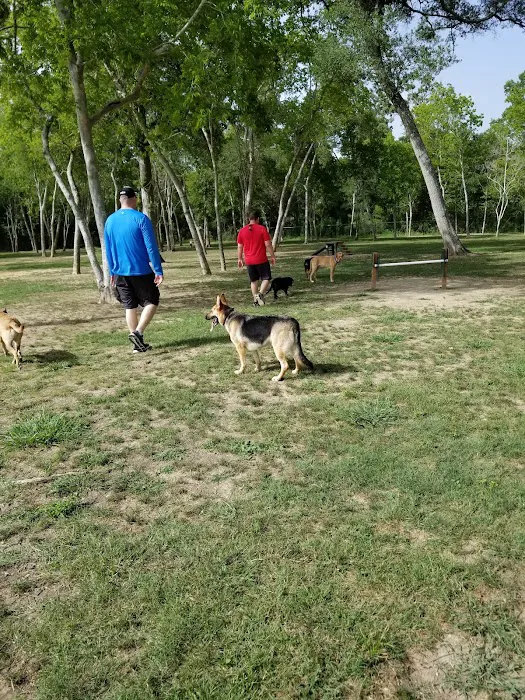 Dog Park 2