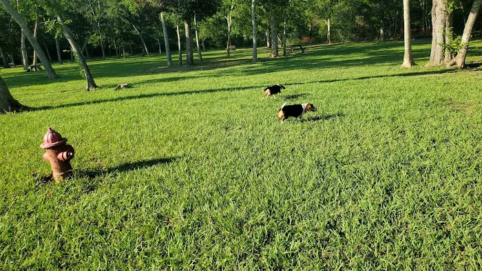Dog Park 3