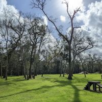 Bark Park at Countryside (League City Dog Park) ico