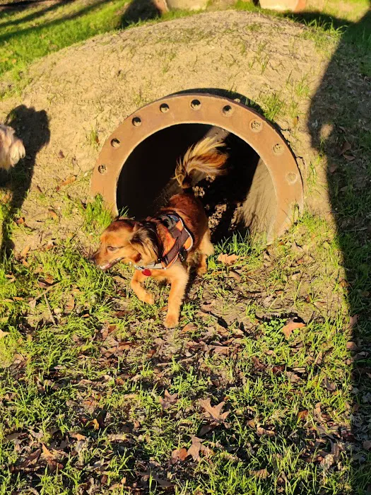 Bark Park at Countryside (League City Dog Park) 7