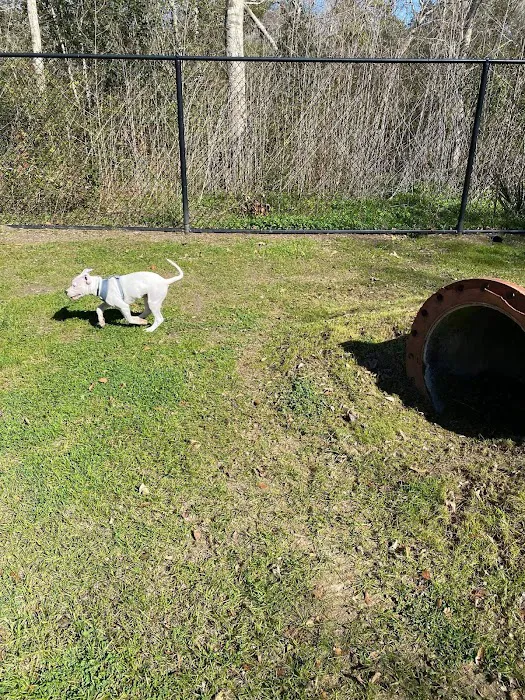 Bark Park at Countryside (League City Dog Park) 8