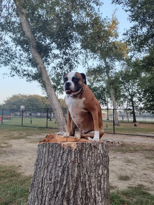 Bark Park at Countryside (League City Dog Park) 9