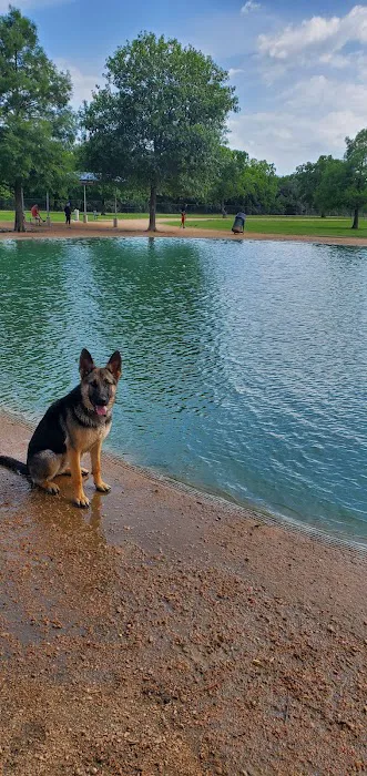 Millie Bush Dog Park 4