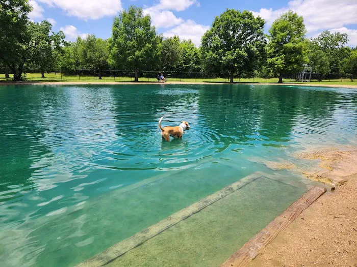 Millie Bush Dog Park 5