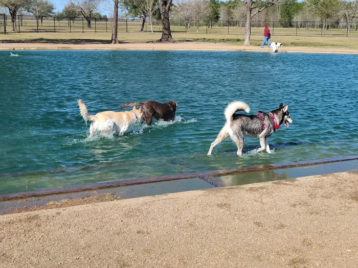 Millie Bush Dog Park 9