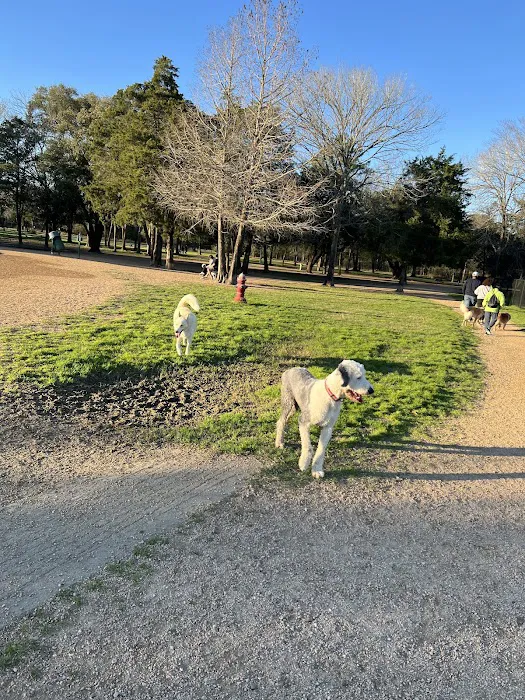 Congressman Bill Archer Dog Park 3