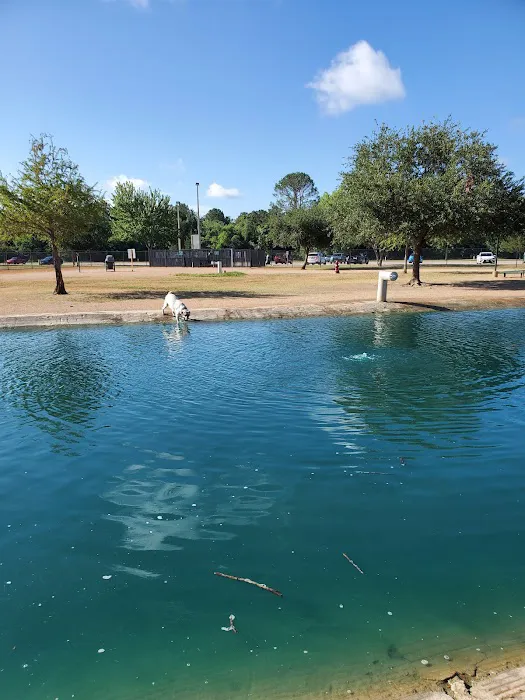 Congressman Bill Archer Dog Park 9