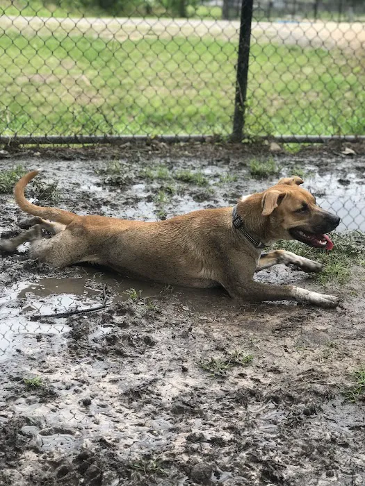 Meyer Dog Park 2