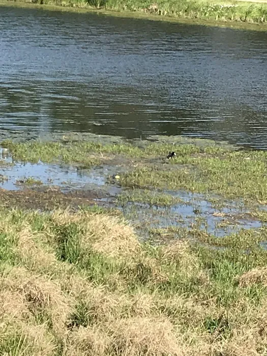 Meyer Dog Park 5