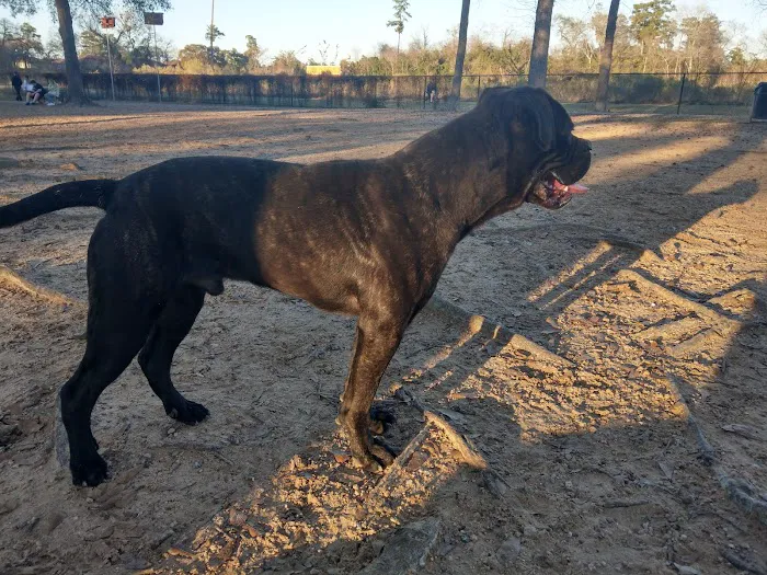 Meyer Dog Park 7