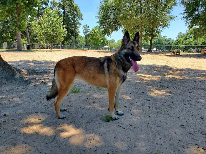 Meyer Dog Park 10