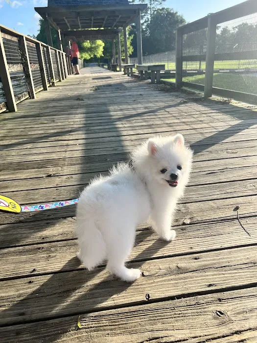 Meyer Dog Park 8