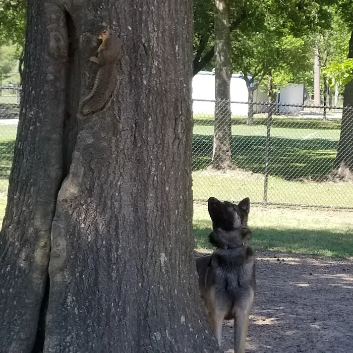 Meyer Dog Park 9