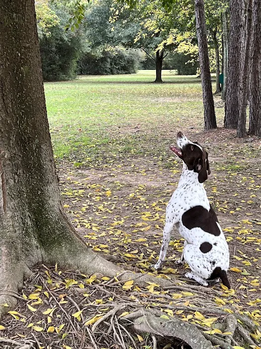 Gleannloch Farms Bark Park 7