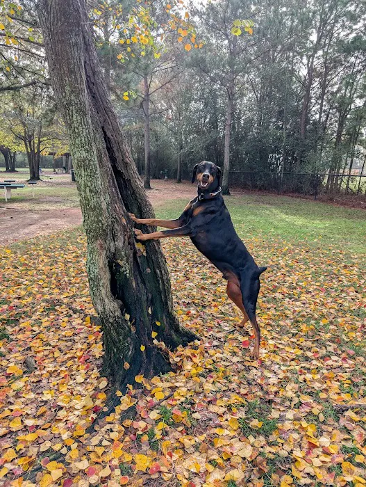 Gleannloch Farms Bark Park 4