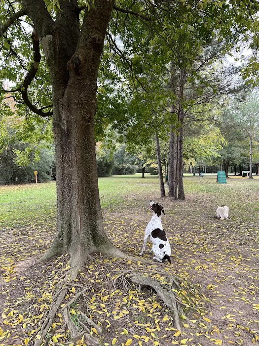 Gleannloch Farms Bark Park 6