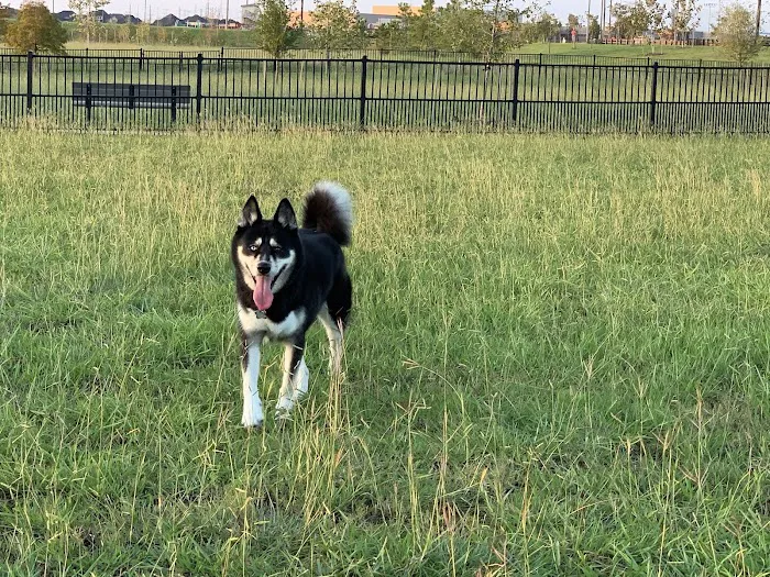 Harvest Green Dog Park 10
