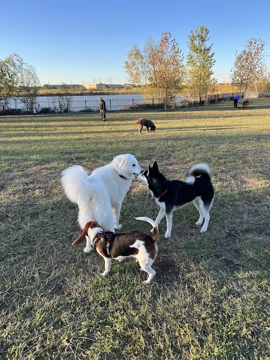 Harvest Green Dog Park 5