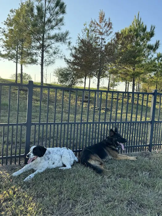 Harvest Green Dog Park 3