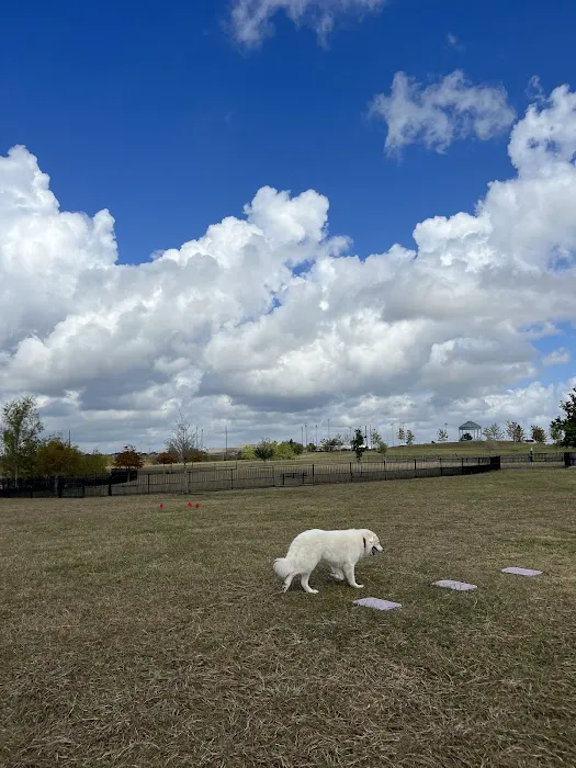 Harvest Green Dog Park 8