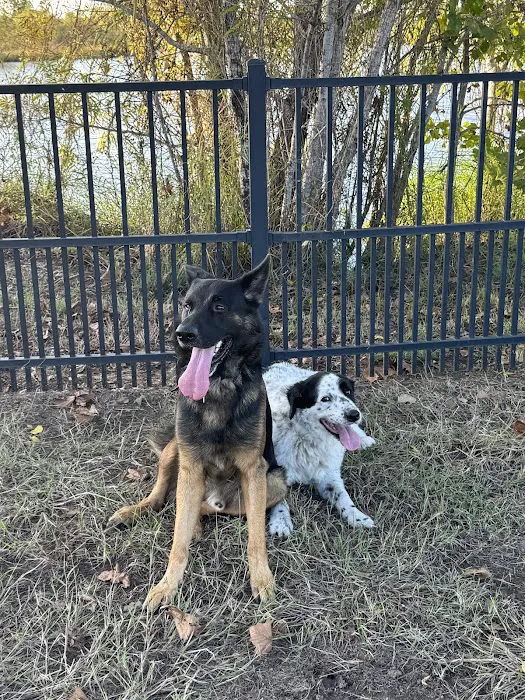 Harvest Green Dog Park 7