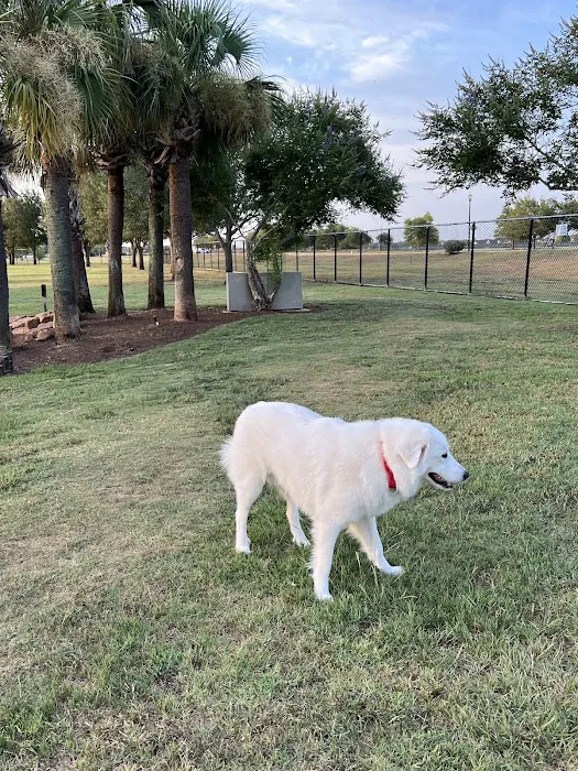 Pawm Springs Dog Park 2