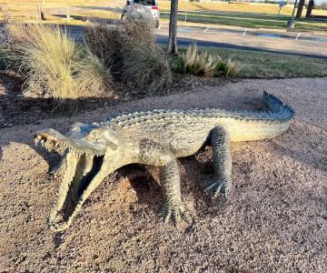 Pawm Springs Dog Park