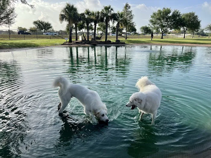 Pawm Springs Dog Park 3