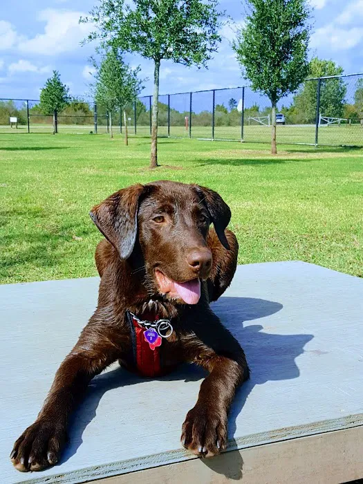 Pawm Springs Dog Park 9