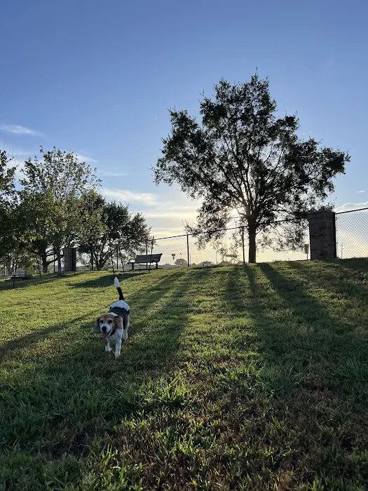 River Park Bark Park 5