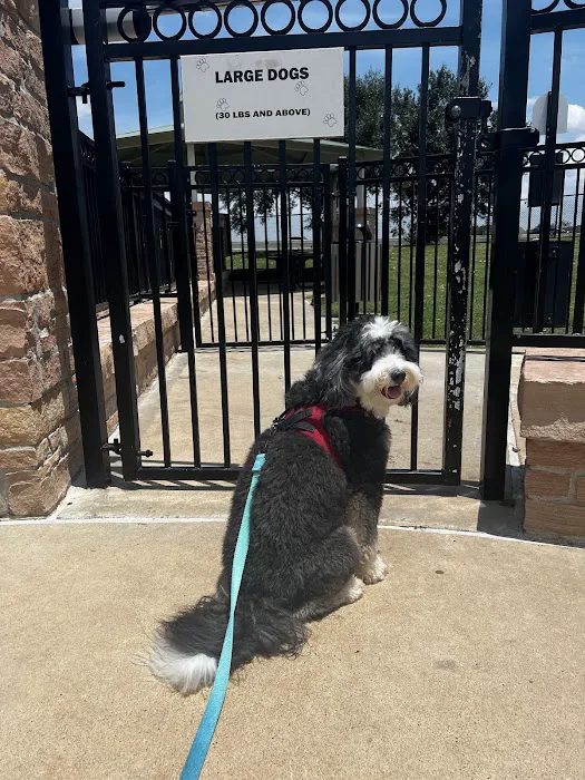 River Park Bark Park 8