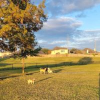 Riverstone Dog Park ico