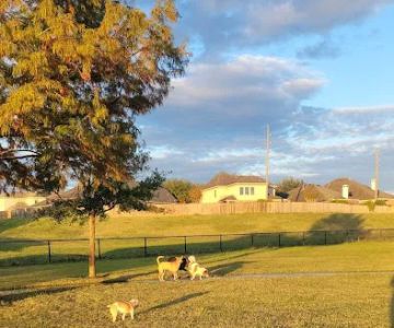 Riverstone Dog Park