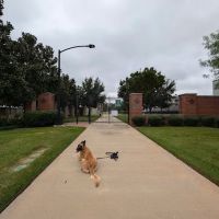 Woodmill Dog Park ico