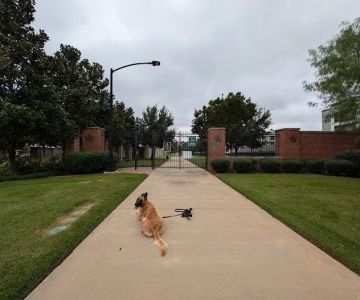 Woodmill Dog Park