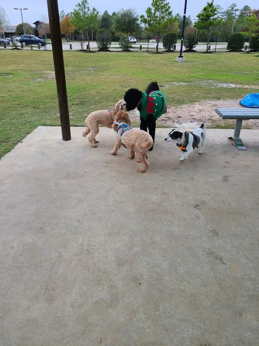 Rob Fleming Dog Park 9
