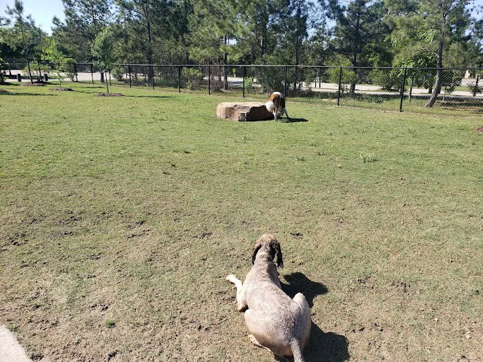 Rob Fleming Dog Park 8