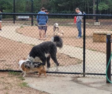 Bear Branch Dog Park