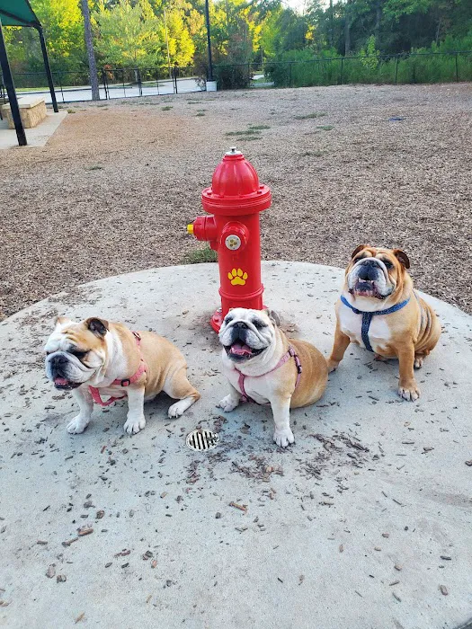 Bear Branch Dog Park 2