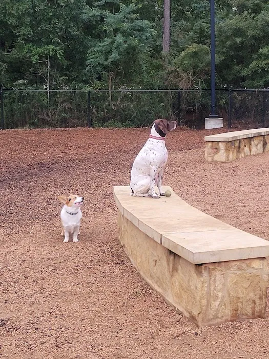 Bear Branch Dog Park 4