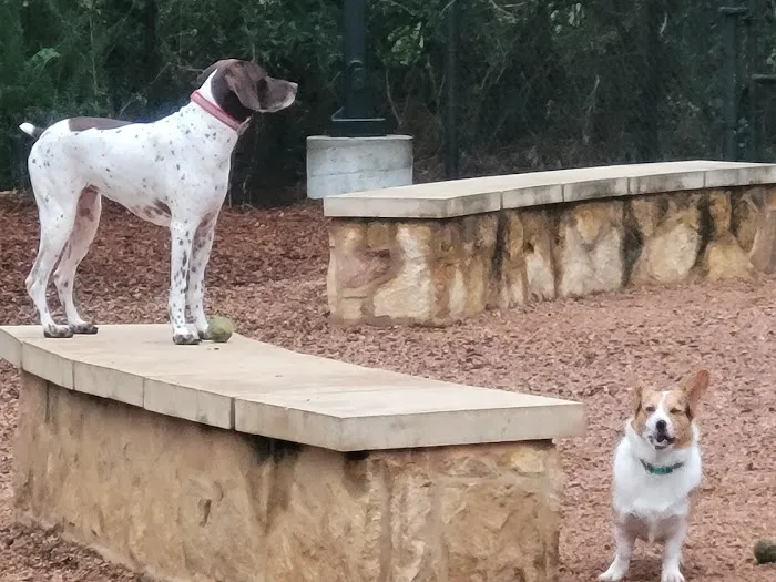 Bear Branch Dog Park 3