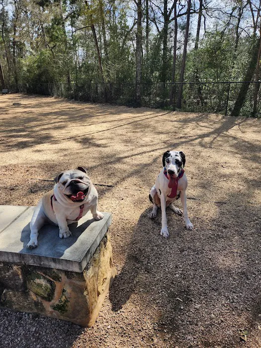 Bear Branch Dog Park 6