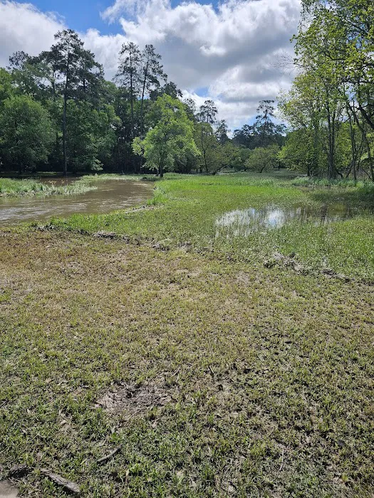 Bear Branch Dog Park 10