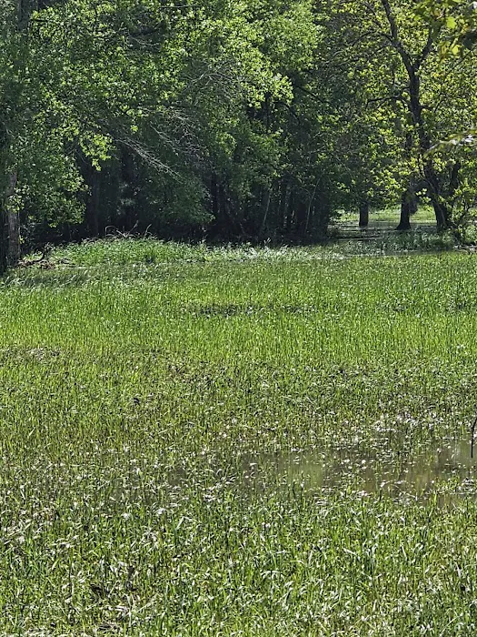 Bear Branch Dog Park 9