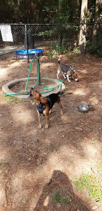 Harper's Landing Dog Park 3