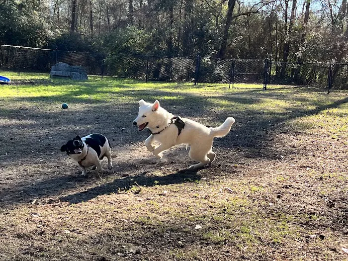 Harper's Landing Dog Park 8